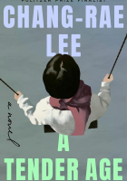 Young child on swing with grey background book cover A Tender Age